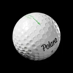 frame 203